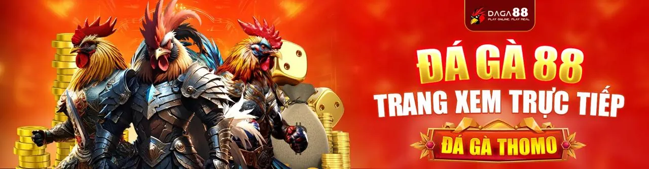 Giao diện cá cược trực tiếp Vinbet