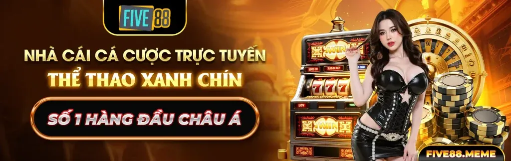 Điều khoản và điều kiện Vinbet