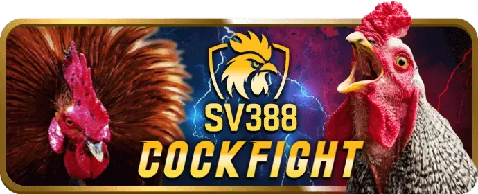 Bảo mật tối ưu Vinbet