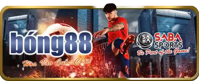 Hỗ trợ khách hàng 24/7 Vinbet