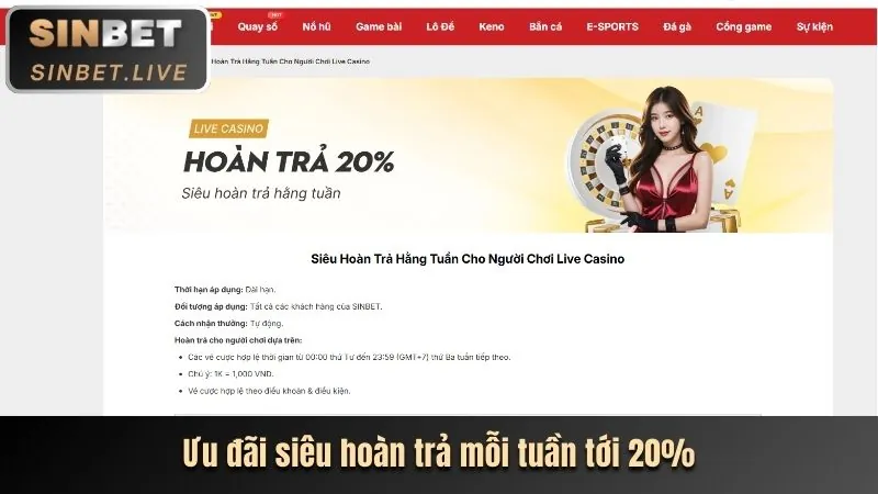 Tổng quan về Điều khoản Dịch vụ vinbet link vào